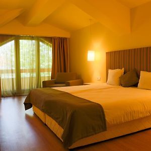 Deluxe Kamer met een King Size Bed